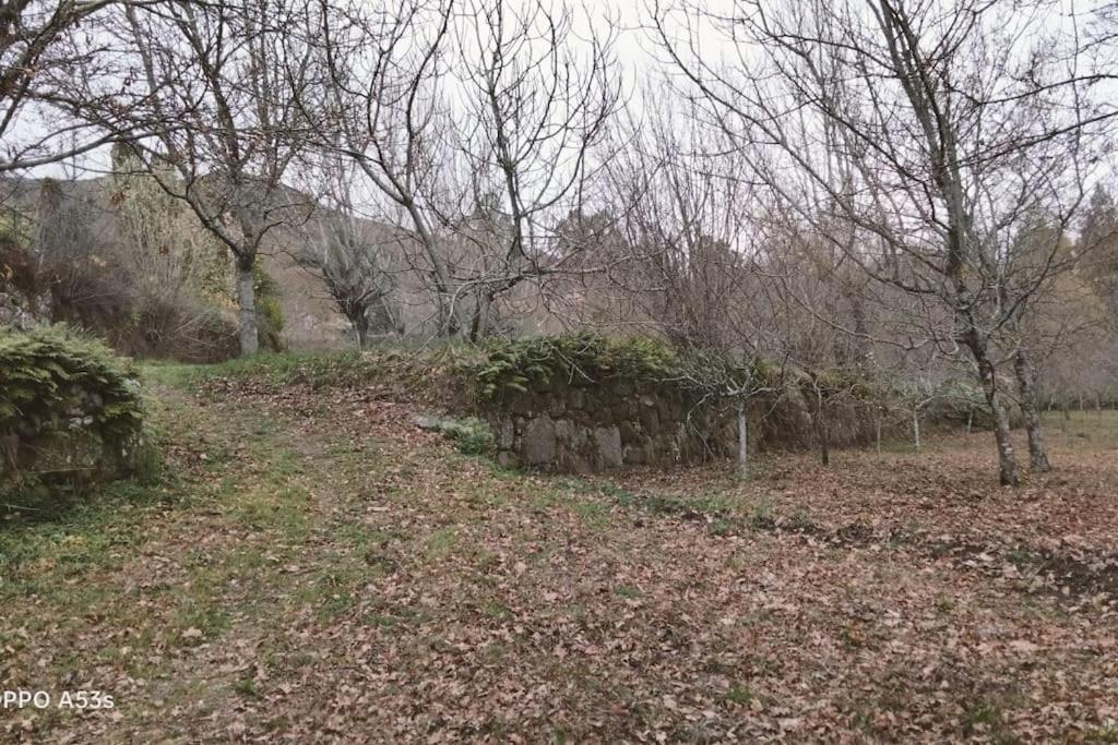 Confort, Fun And Leisure In Douro Rural Space Sande  Luaran gambar