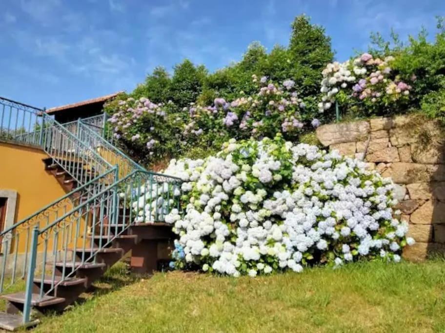 Confort, Fun And Leisure In Douro Rural Space Sande  Luaran gambar