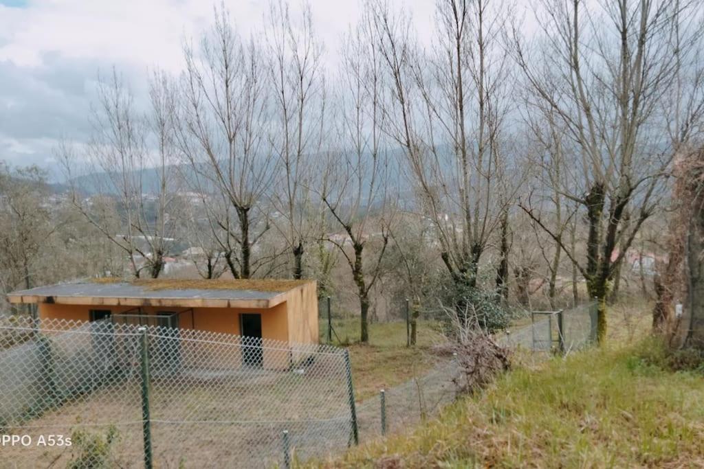 Confort, Fun And Leisure In Douro Rural Space Sande  Luaran gambar